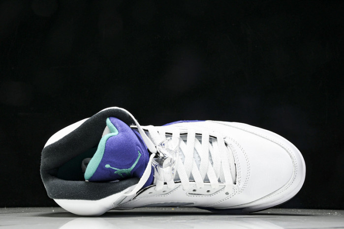 Air Jordan 5 Retro