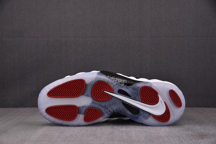 Air Foamposite Pro