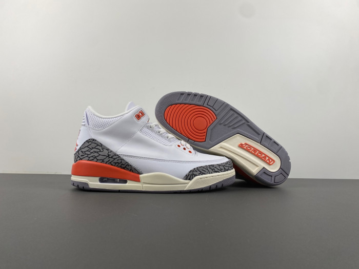 JORDAN 3 RETRO