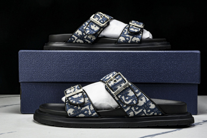 D1R* SLIDE copshoe  DR-SLIDE 013