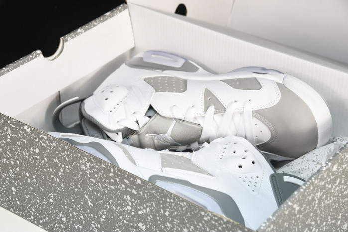 Air Jordan 6 Cool Grey CT8529-100 CT8529-100