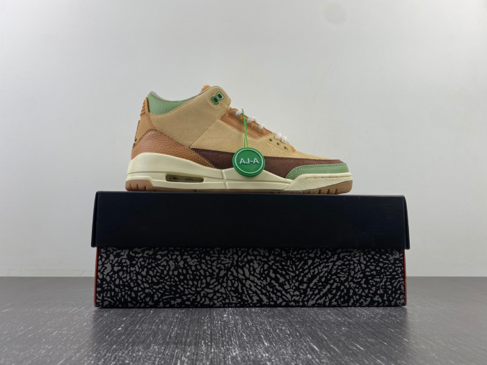 Air Jordan 3 retro CT8532-160