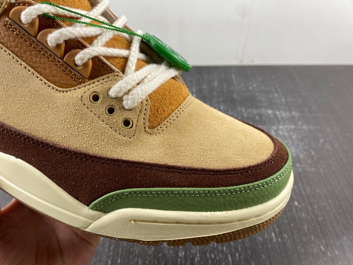 Air Jordan 3 retro CT8532-160