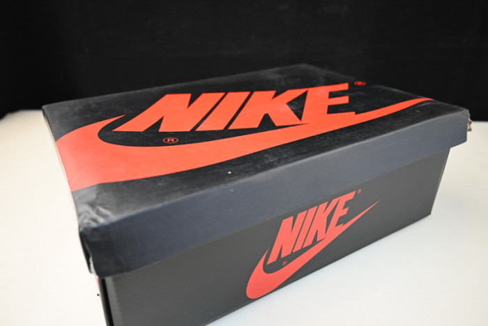 Jordan 1 Retro Low OG Zion Williamson Voodoo DZ7292-200