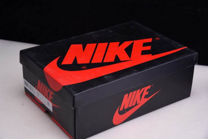 Air Jordan 1 Tie-Dye - CD0461-100